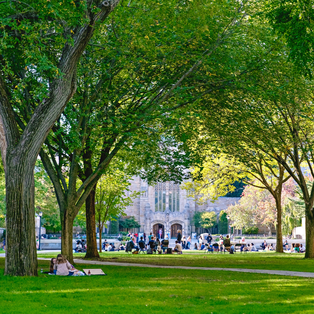 Yale Cross Campus Scene