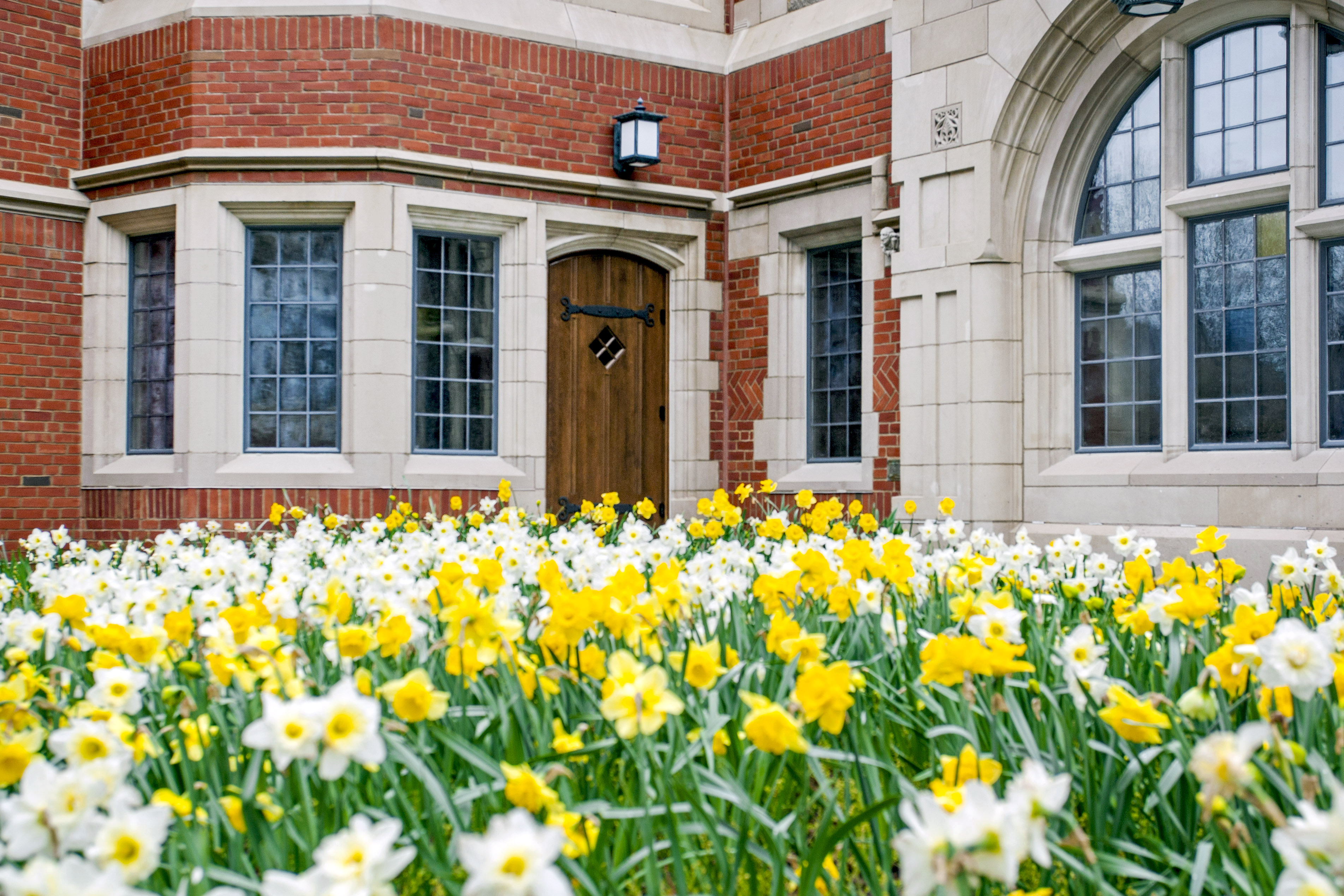 Benjamin Franklin Spring Flowers