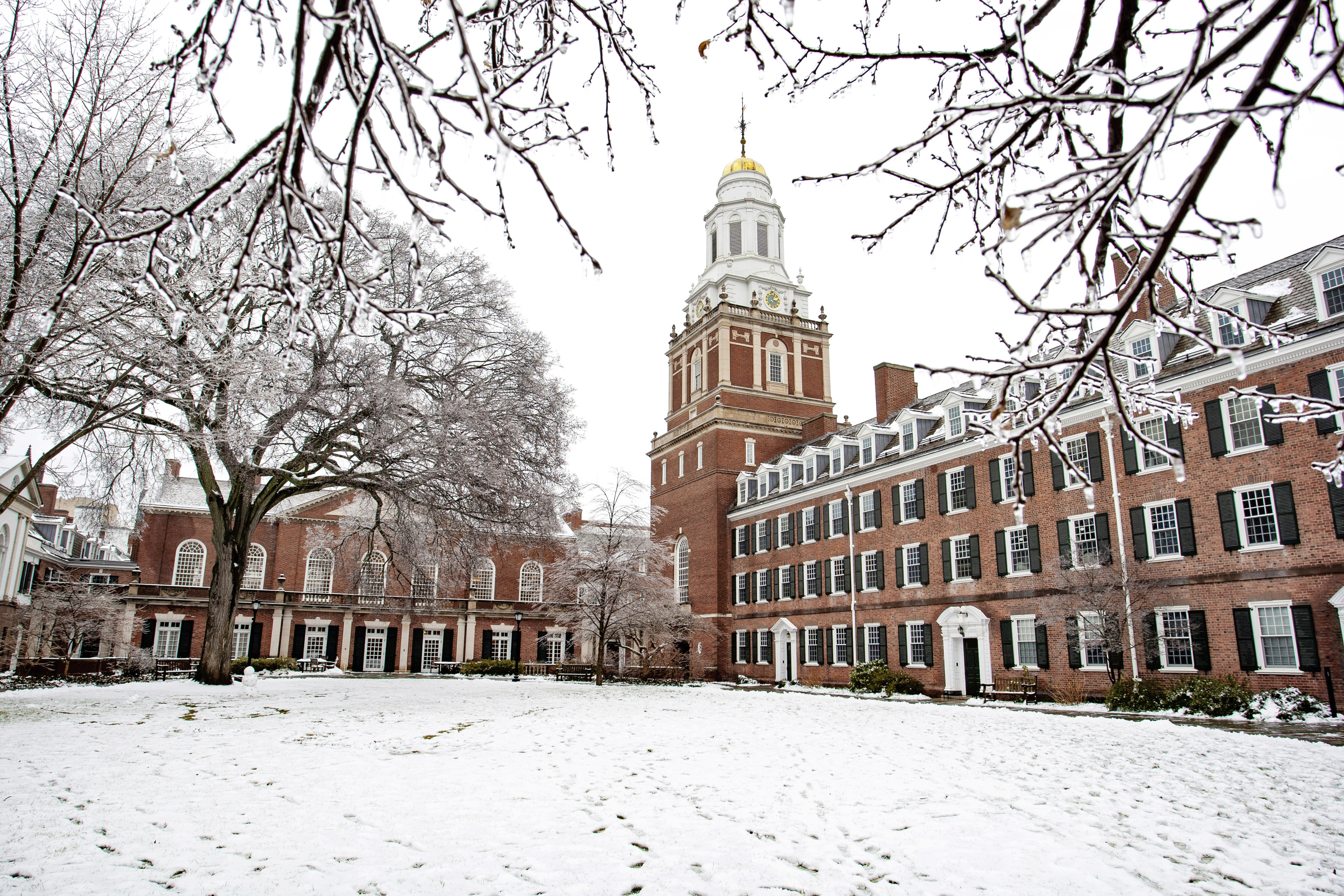 Pierson College Courtyard