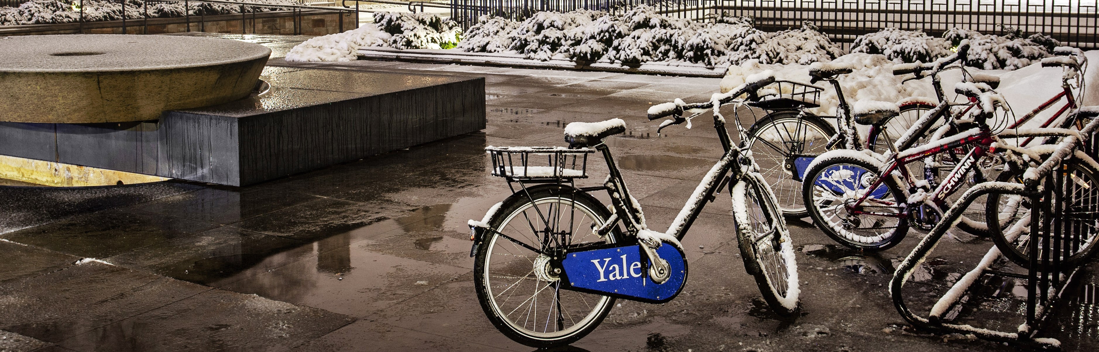 Snow on Campus