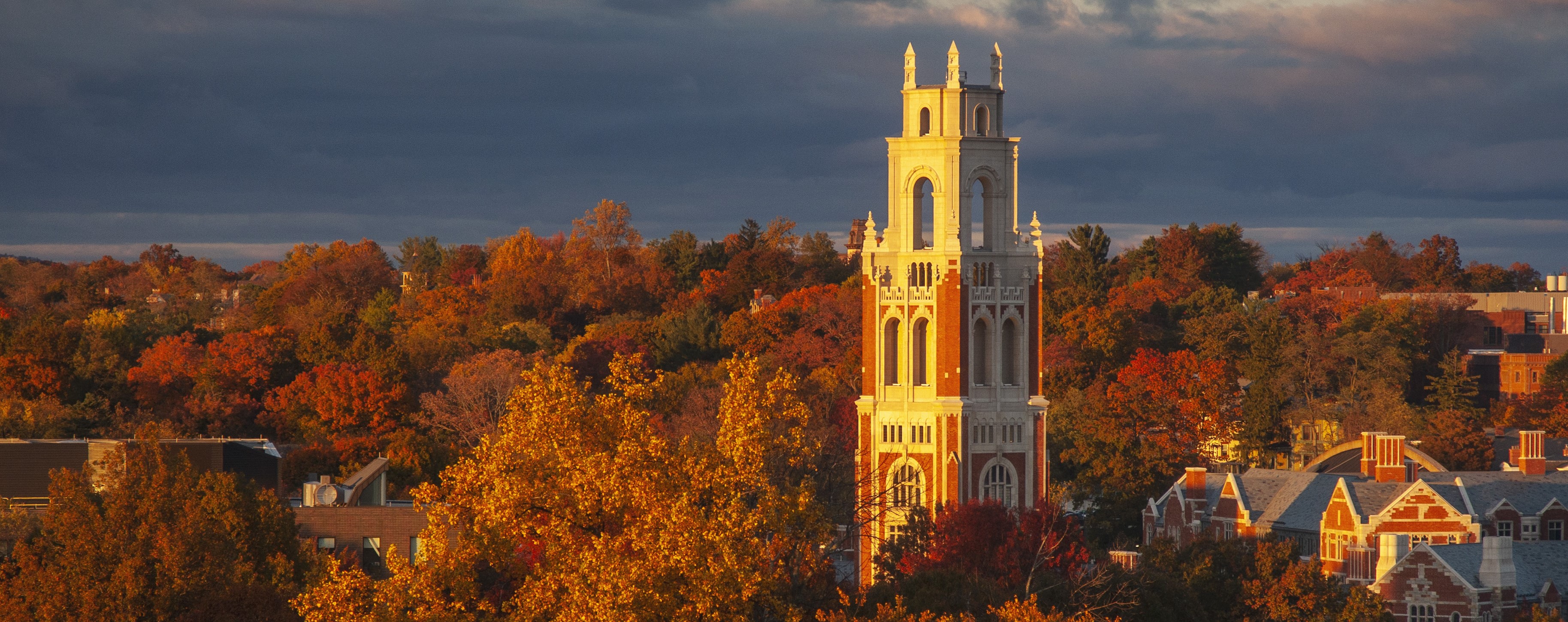 Fall on Campus