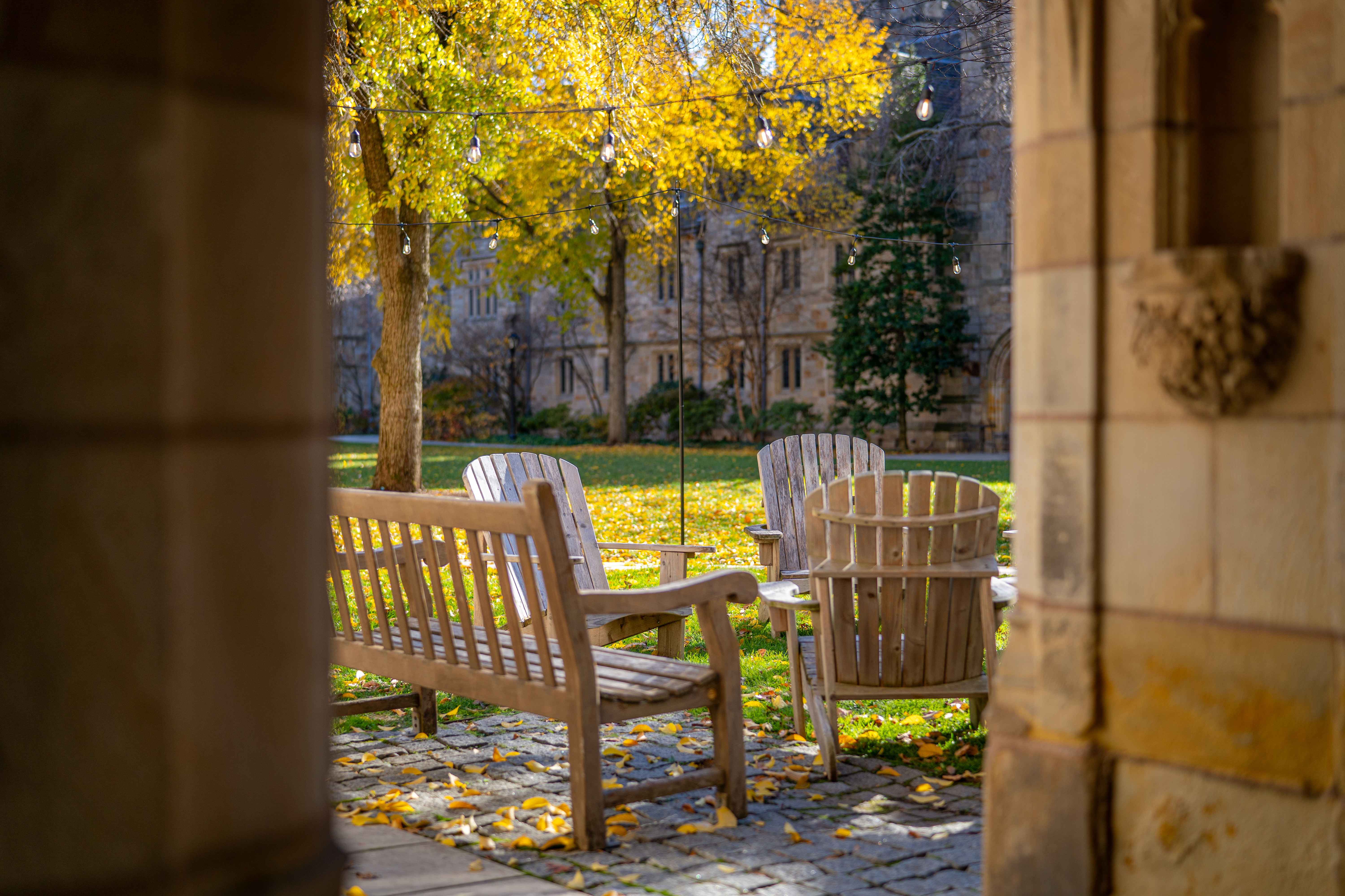 Fall in Branford College