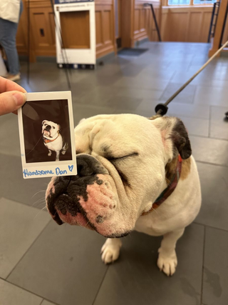 Handsome Dan with a polaroid picture of himself