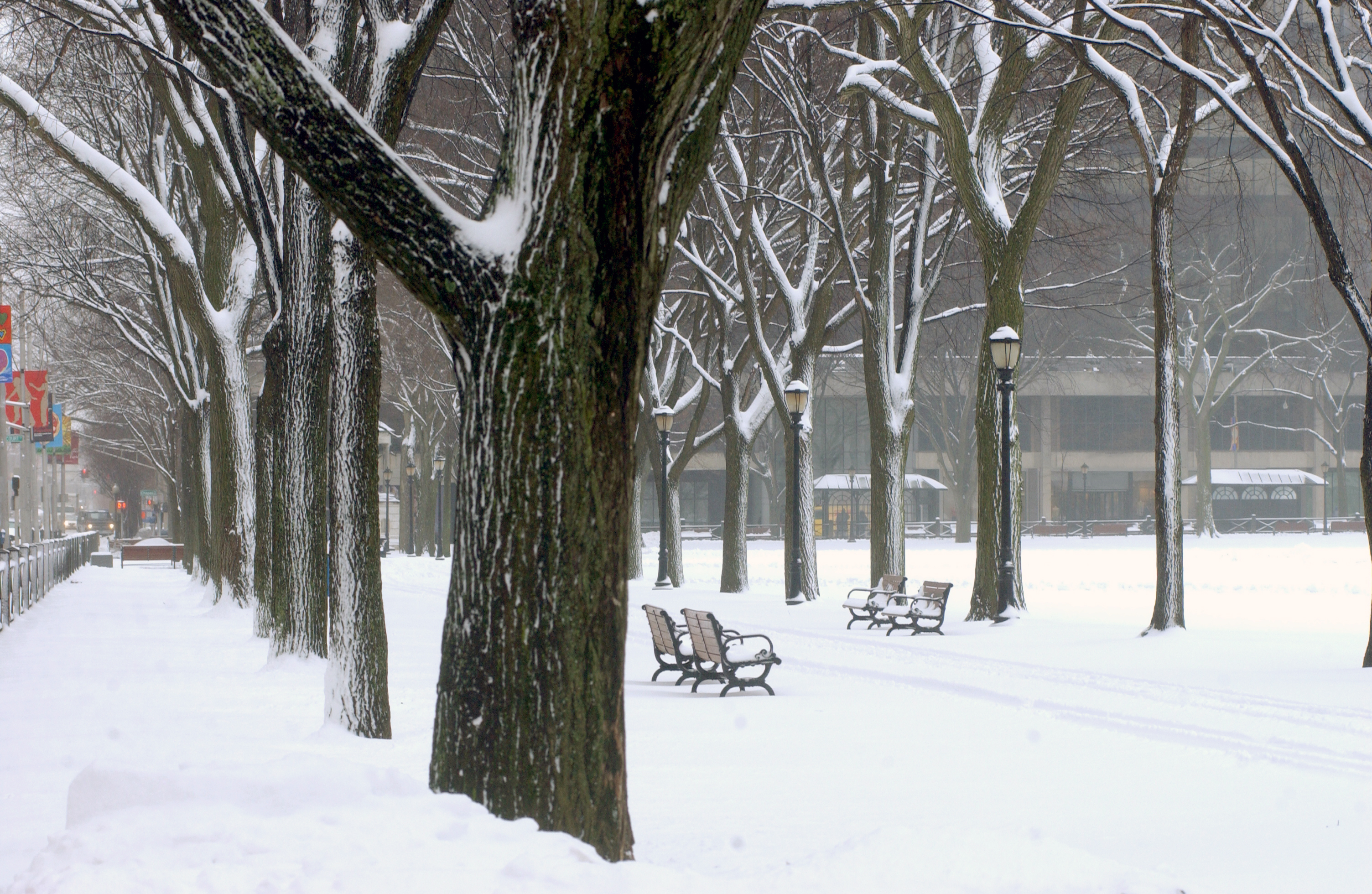 Snow on Campus