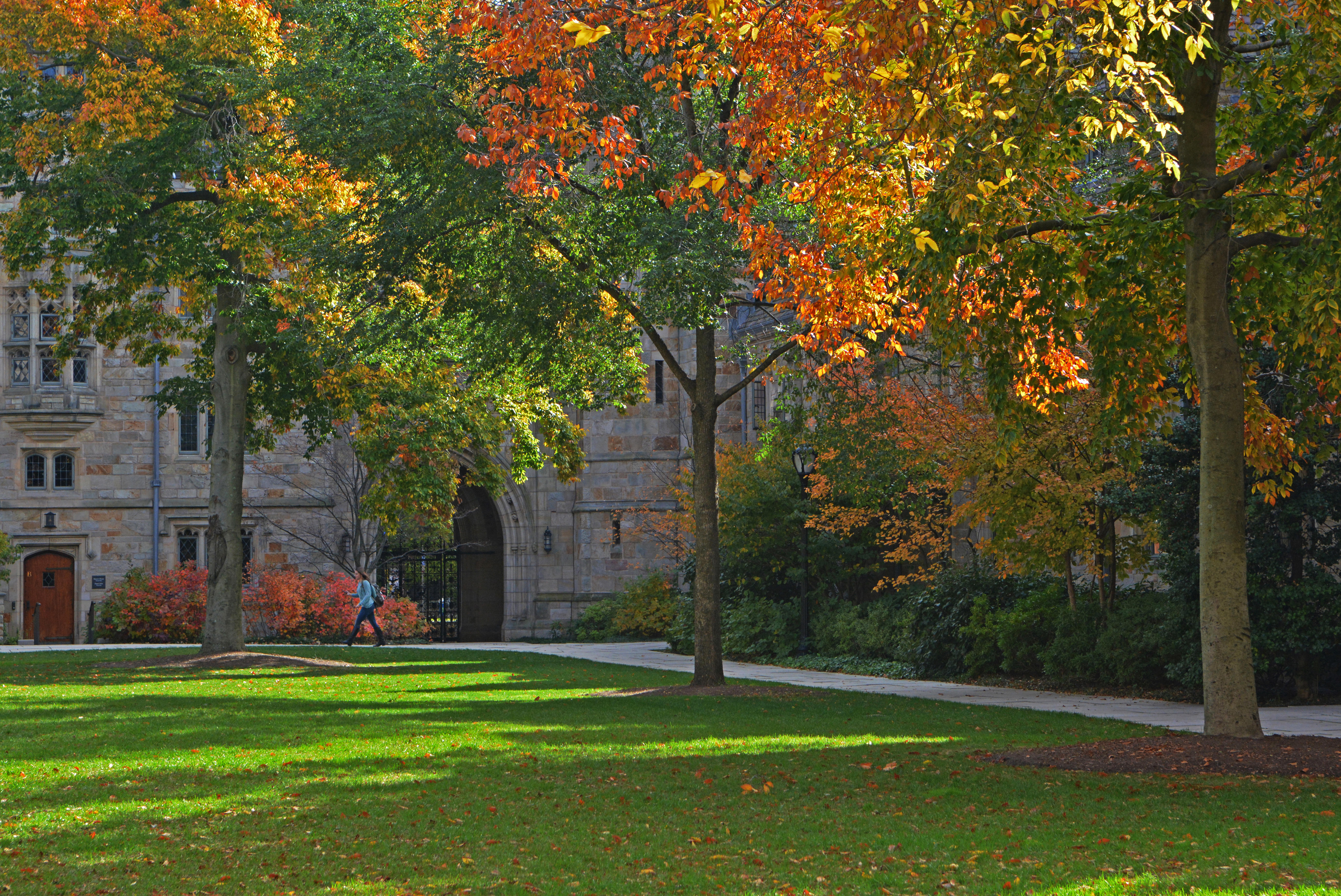 Branford College in Autumn