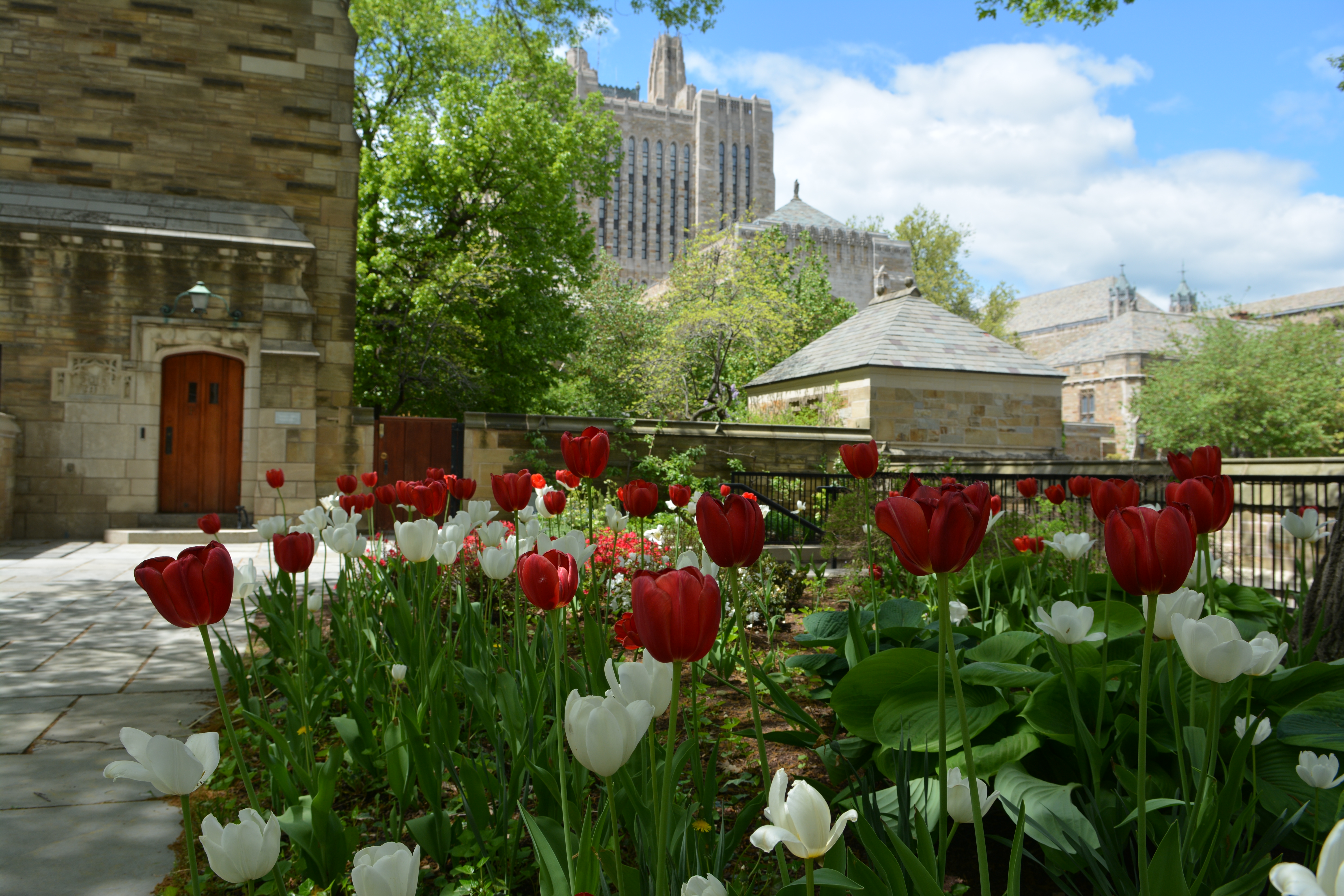 Spring on Campus