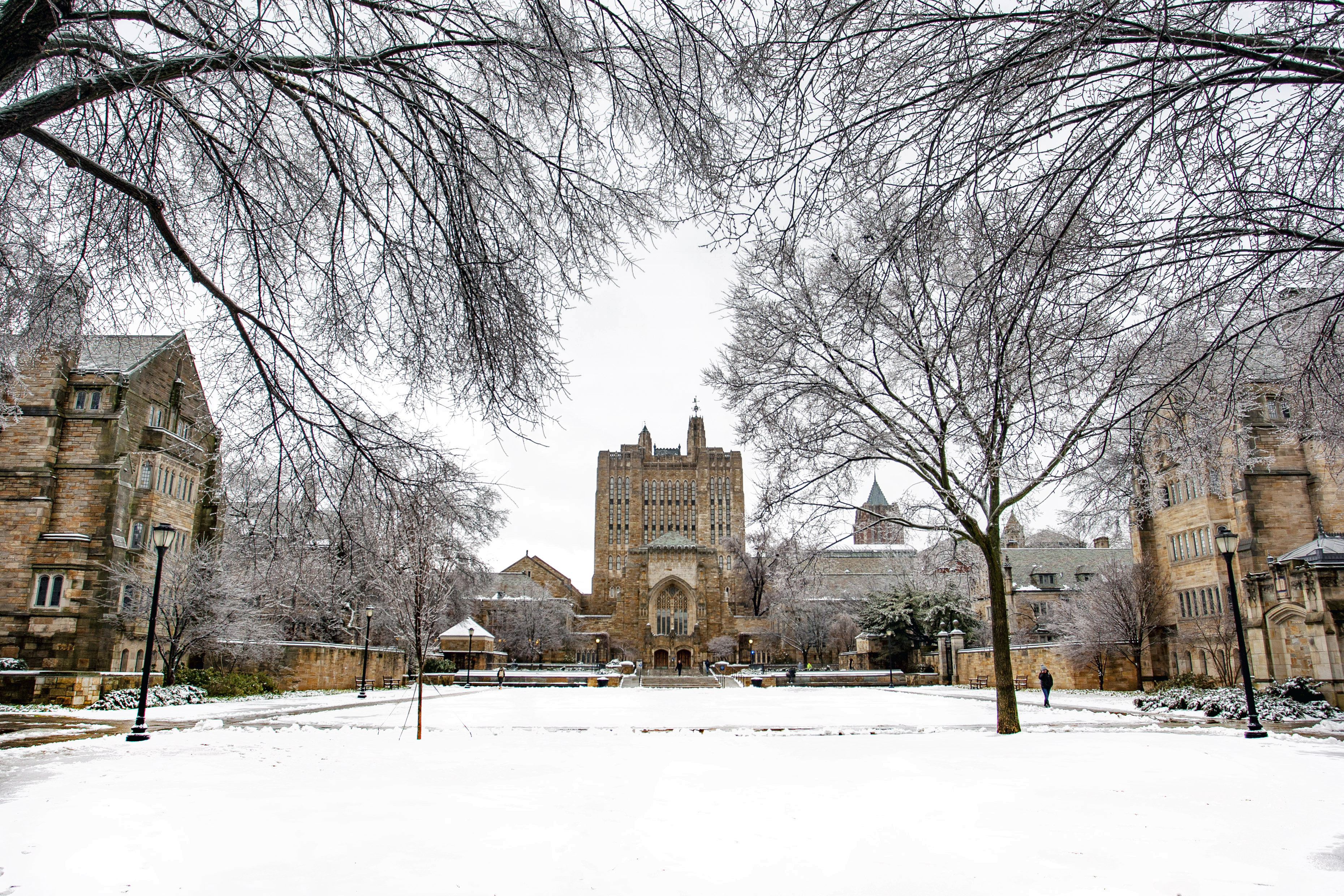 Snow on Campus