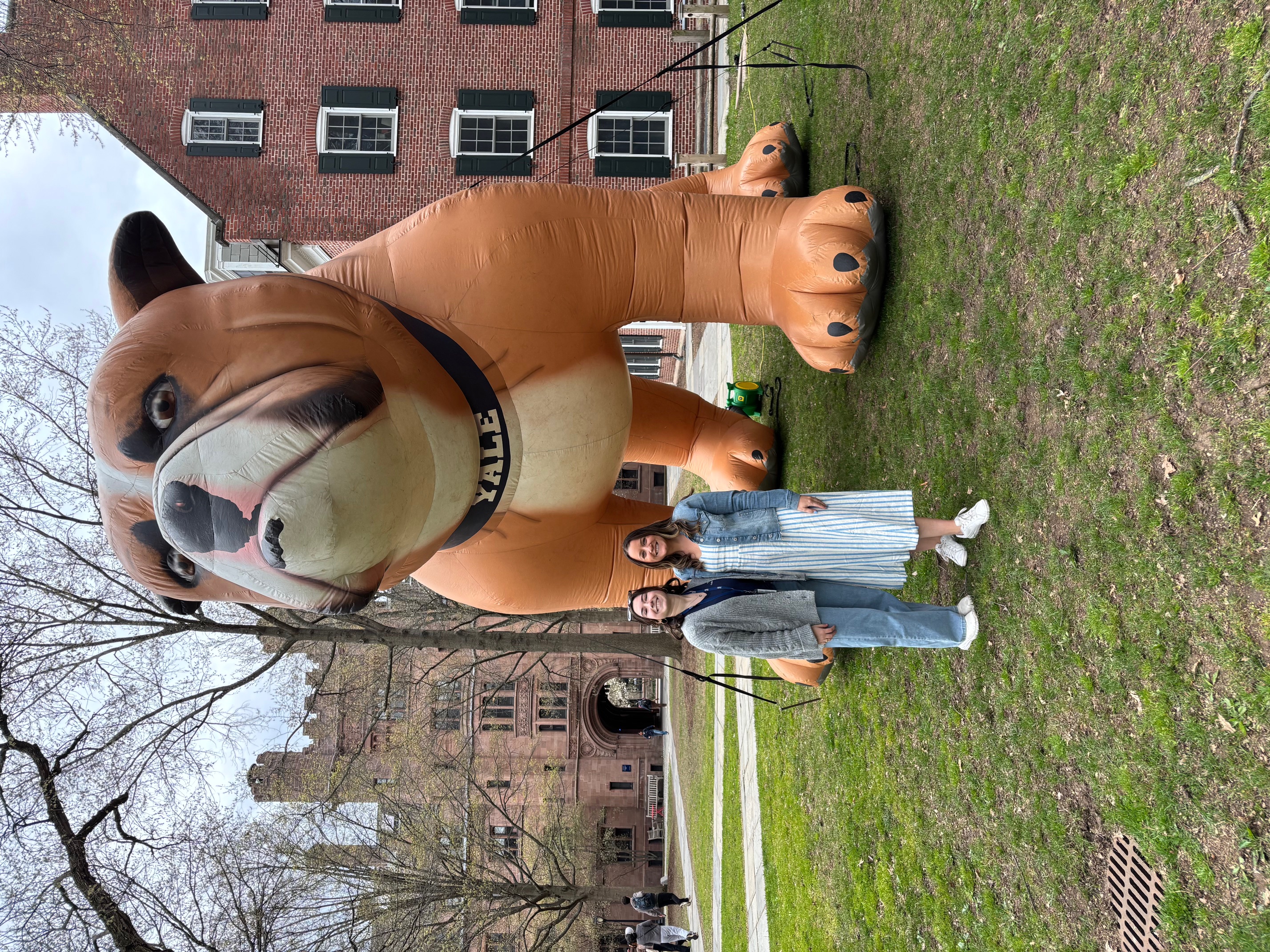 Bulldog days