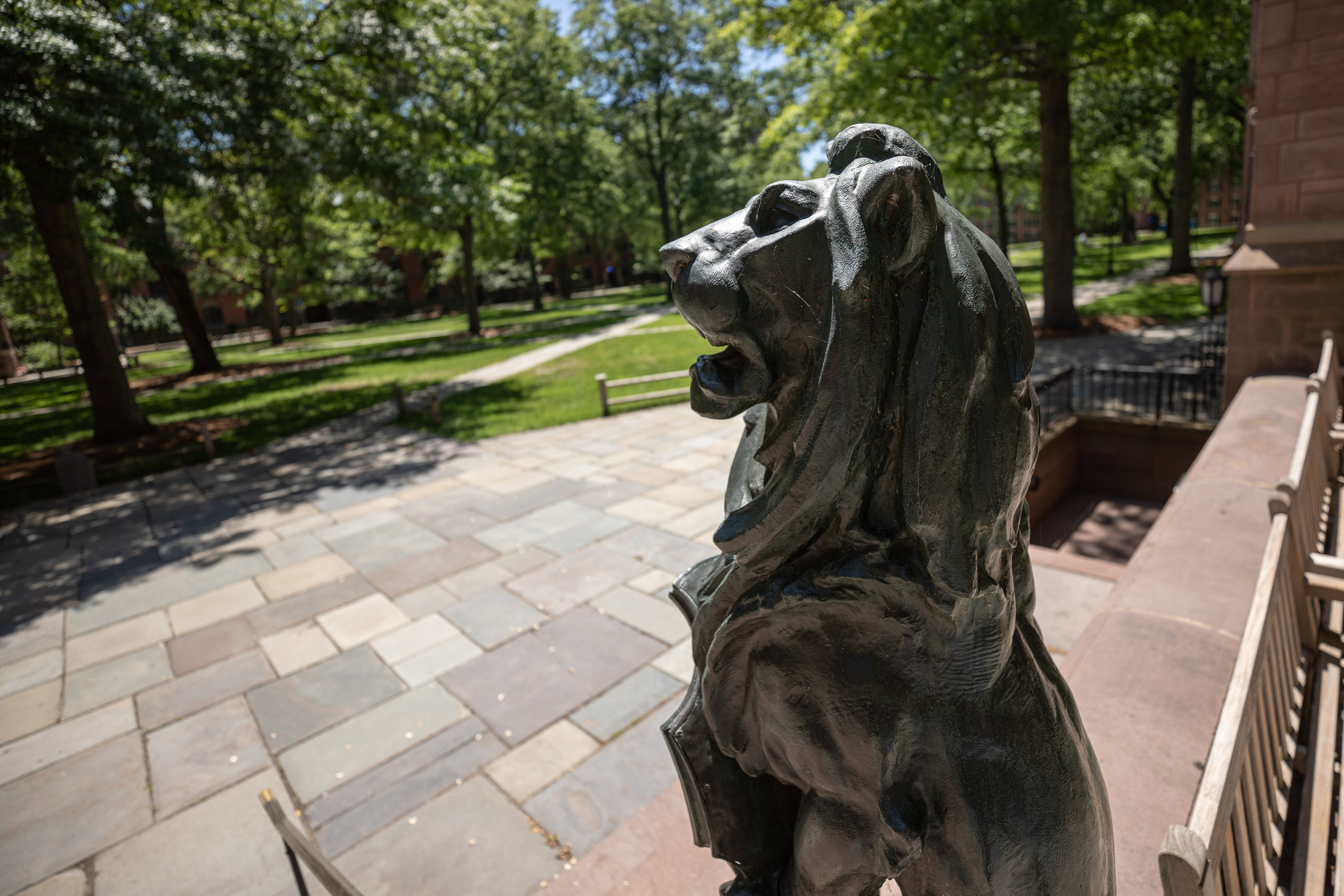 A lion-headed gargoyle watches over Old Campus