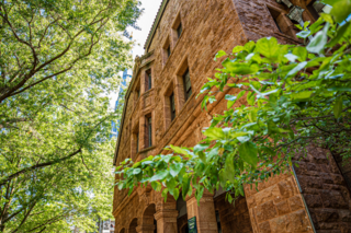 Yale campus building exterior with green trees