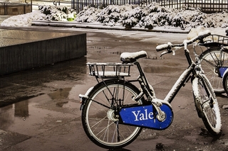 Snow on Campus
