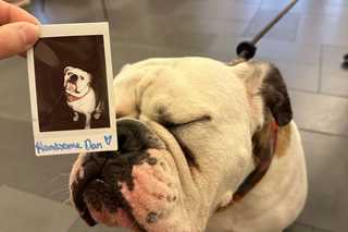 Handsome Dan with a polaroid picture of himself