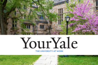 YourYale