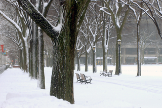 Snow on Campus