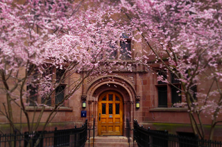 Spring is (almost) here! 