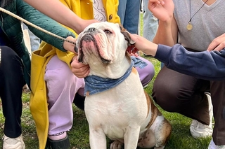 Bulldog Days 2022