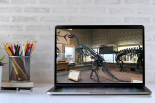 Peabody Museum panel discussion hosted by YC&E - March 9th