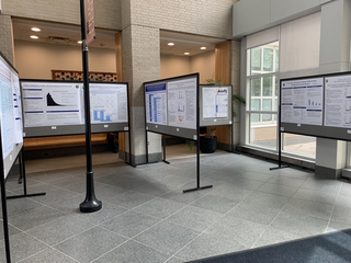 Image of student posters 